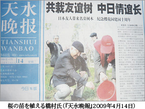 桜の苗を植える橋村氏（『天水晩報』2009年4月14日）